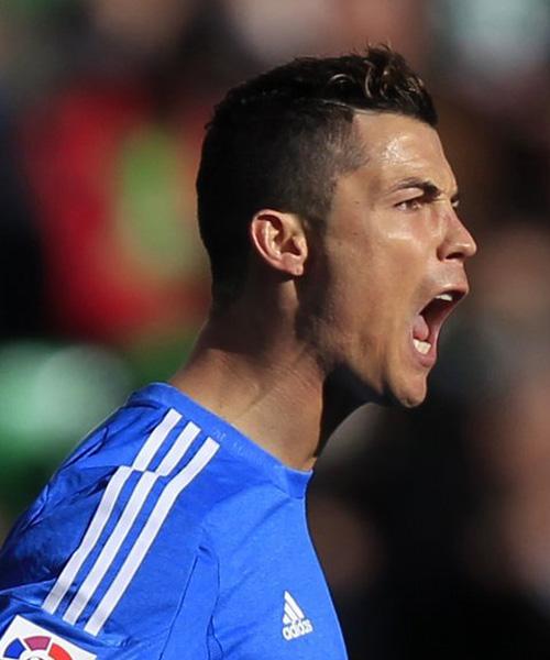 他们完全有 他们完全有