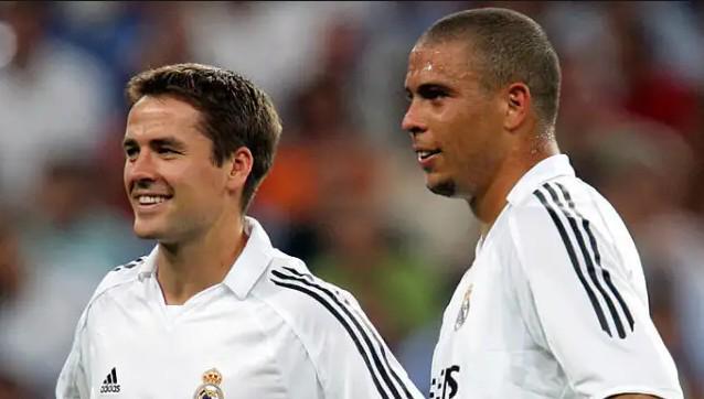 预示的人参 预示的人参