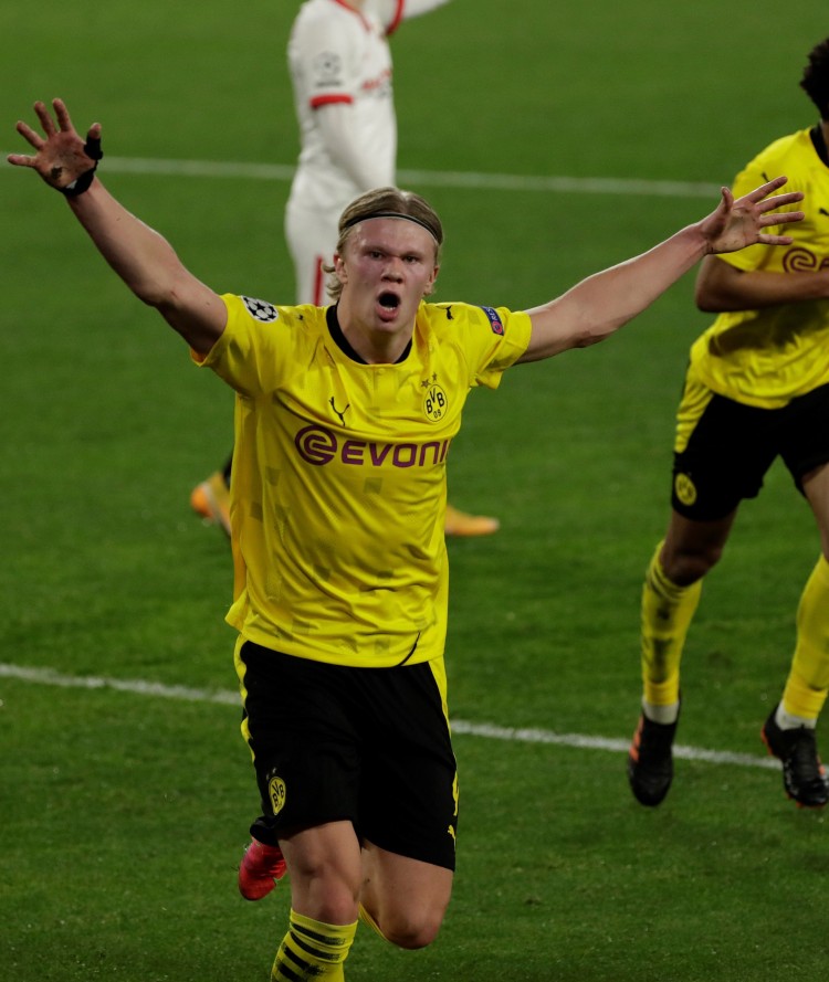 可能不比花 可能不比花