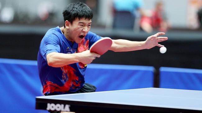 面对9z临 面对9z临